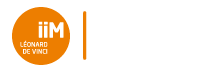 institut de l'internet et du multimédia
